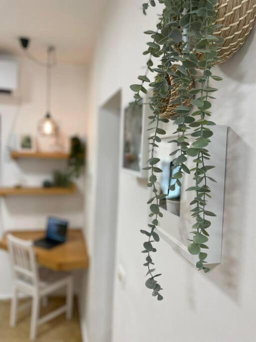Apartmán Tko'A #2 Jeruzalém Exteriér fotografie